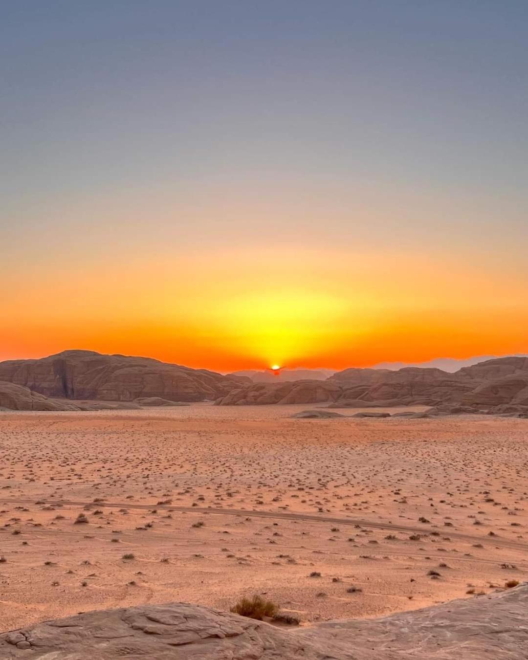 מלון וואדי רם Bedouin Tours Camp מראה חיצוני תמונה