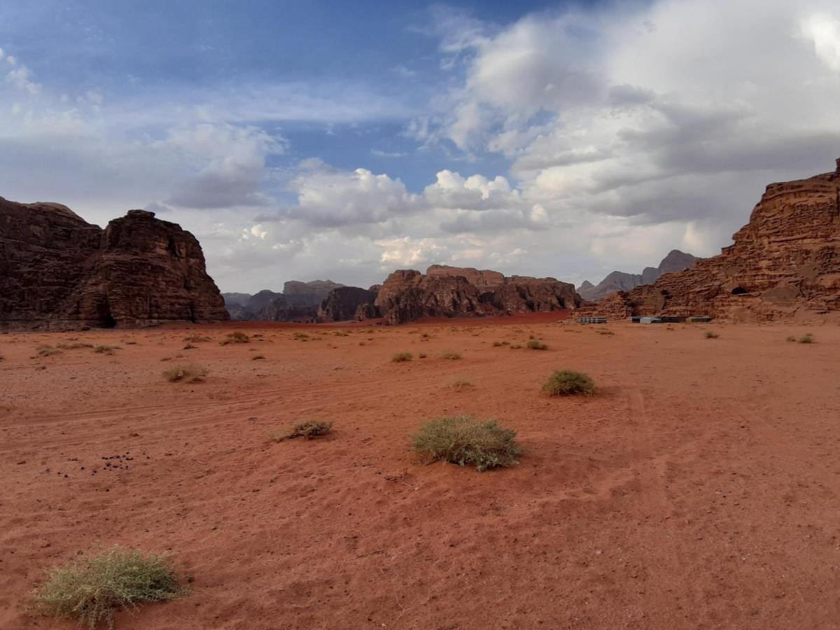 מלון וואדי רם Bedouin Tours Camp מראה חיצוני תמונה